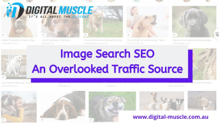 Image Search SEO - An Overlooked Traffic Source You Should Use Now