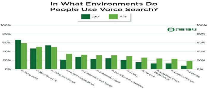 Environment Use Voice Searches