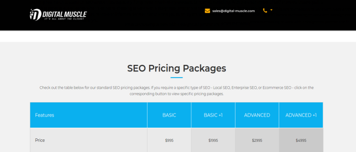 SEO packages