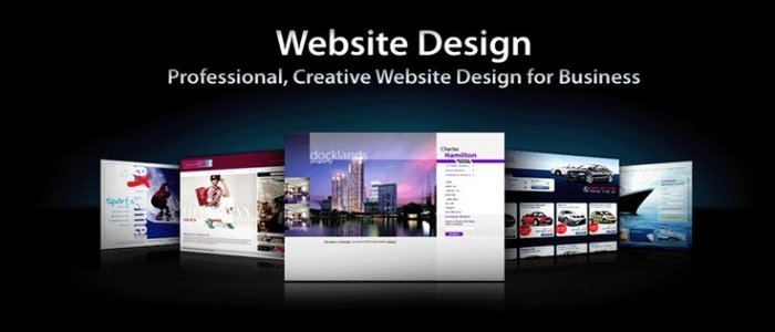 Professional website